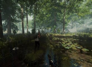 the forest gameplay